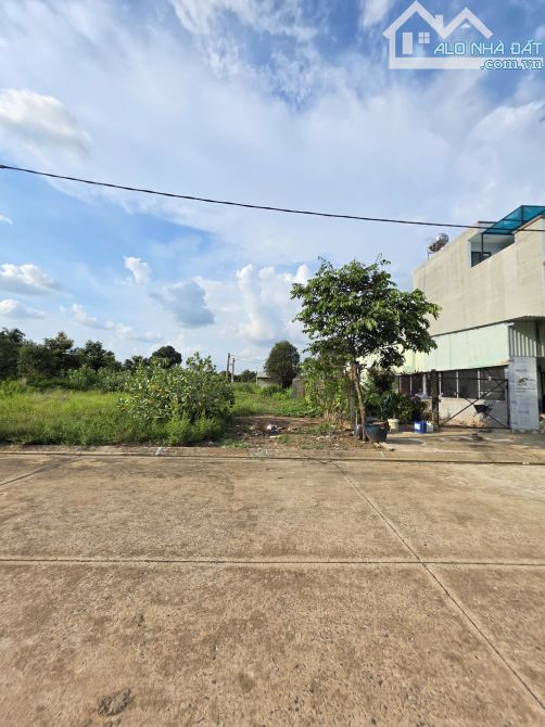 3Tỷ TL🔥Bán đất bên sông Sài Gòn_5x20m_Gần cầu Vành Đai 3 nối Q12 cũ, p.An Sơn Tp.Thuận An - 3