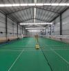 THUÊ KHO QUẬN 7 900M² - TRẦN CAO 7M - PHÙ HỢP PICKLEBALL, CẦU LÔNG, BÓNG RỔ