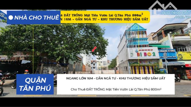 Cho Thuê ĐẤT TRỐNG Mặt Tiền Vườn Lài Q.Tân Phú 800m², NGANG LỚN 16M, KHU THƯƠNG HIỆU SẦM