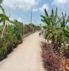 Bán đất trung tâm xã Phú Thạnh 1286m² có 300m² thổ cư, đường Cả Thu xe hơi tới đất