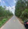 1.4 ha đường nhựa xã Xuyên Mộc, TPHCM. Giá bán 400 triệu / 1000m2