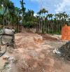 🏡 Bán đất 5×30m gần QL14, Tân An, giá tốt đầu tư