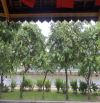 Villa Trường Sa mặt tiền trên bến dưới thuyền DT 155m2 Bề Ngang 8m KC 4 Lầu Chỉ 45 Tỷ