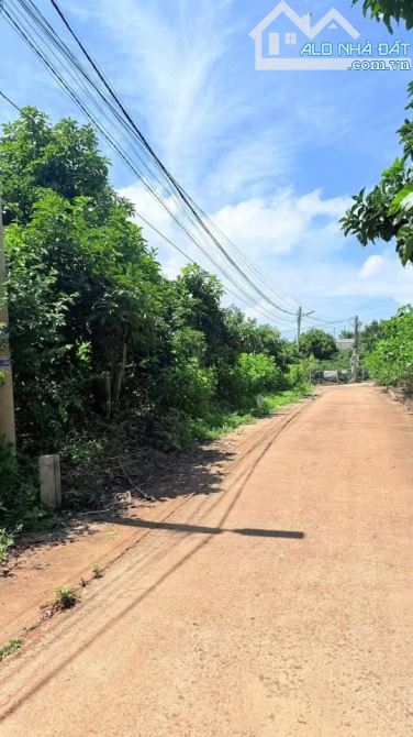 BÁN ĐẤT XÃ ĐÔNG THANH – VEN ĐÀ LẠT CHỈ 1TY45 - 1