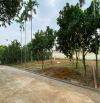 Cần bán 100m² full thổ cư cạnh Đại học Quốc gia, gần Quốc lộ 21 khu vực lõi Hòa Lạc