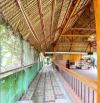 🍀Lê Văn Lương, Nhà Bè – Nhà vườn – 650m² – 2.x tỷ (SHR) – Xe hơi đỗ cửa – view sông,