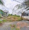 Bán đất ấp 2 xã Bình Đức dt 1000m2 full thổ giá chốt 3 tỷ