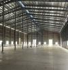 XT155. Cho thuê xưởng KCN Đồng Xoài , Bình Phước. 14.000m2. Chỉ 2,5$/m2/tháng.  THÔNG TIN