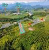 🔴Chủ Định Cư Nước Ngoài Cần Bán Gấp 5 Sào View Sông Thích Hợp Làm Farm Nghĩ Dưỡng