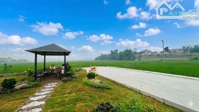 Chỉ hơn 300 TRIỆU sở hữu ngay đất gần trung tâm kinh tế Ba Đồi – Lạc Thủy - 4