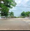 Lô góc hoà xuân rẻ mà đẹp- không thể bỏ qua