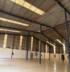 Cần cho thuê mặt bằng làm kho chửa- xưởng sản xuất tại KCN Tân An - Buôn Mê Thuột DakLak