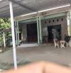 Bán nhà biệt thự vườn view mặt tiền sông đường tỉnh 907 gần chợ Vũng Liêm (4.260m²) 5 tỷ