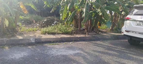 Đất đẹp đấu giá nghi ân gần quốc Lộ 46 - 2