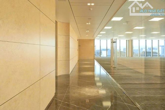 🏢 BQL TÒA ROMAN PLAZA TỐ HỮU CHO THUÊ VP VỚI DT 320M² GIÁ TỐT CHỐT LIỀN TAY - 2