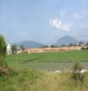 Chỉ hơn 1 tỷ nên đầu tư lô đất Full thổ cư 200m2, đường 5m.