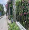Bán đất: MT Đường 6D, Xã Vĩnh Lộc B, Huyện Bình Chánh