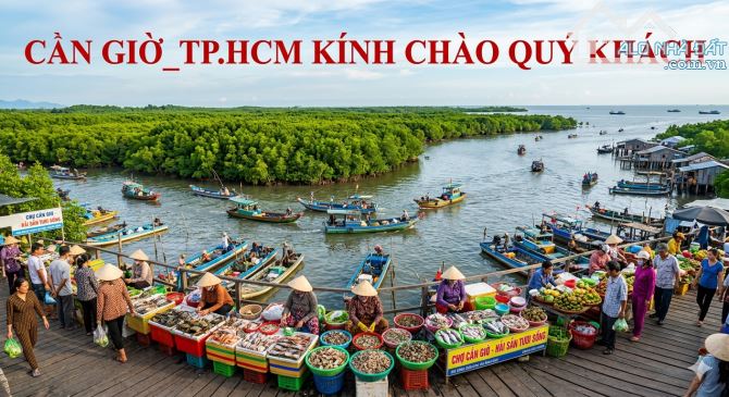 Bán đất mặt tiền Lý Nhơn, xã Lý Nhơn, Cần Giờ 8,2 tỷ