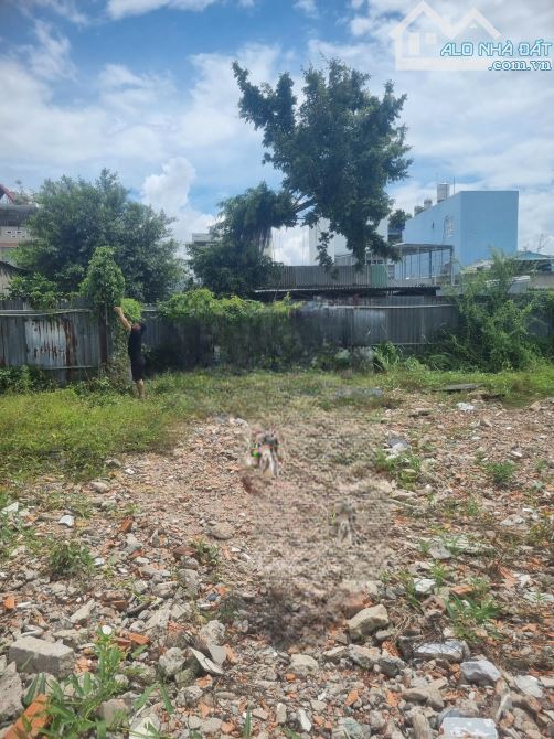 CHO THUÊ ĐẤT 900 HUỲNH TẤN PHÁT, PHƯỜNG TÂN PHÚ, QUẬN 7 1577m2 - 1