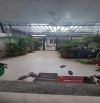 NHÀ SÂN VƯỜN 100M2 1TRỆT 1LẦU 3PN 2WC ĐƯỜNG SỐ 2 TRƯỜNG THỌ NGAY KHA VẠN CÂN, CHỢ THỦ ĐỨC