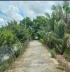 🔰 Bán vườn xoài Hoà Lộc: 9.800m² (47m x 208m) 🔰 Đường đan xe ô tô, xã Mỹ Thọ, Đồng Tháp