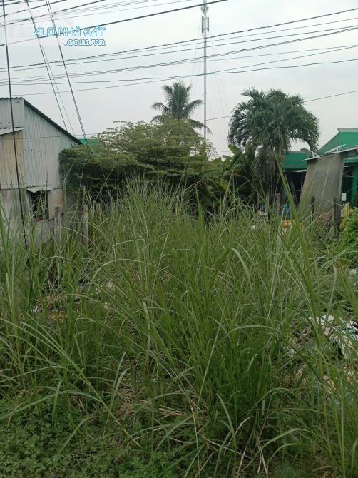 BÁN ĐẤT THỔ CƯ XÃ LƯƠNG BÌNH, BẾN LỨC, LONG AN - 5