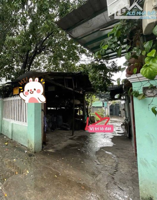 🔥 ĐẤT CẨM LỆ GIÁ TỐT – BÌNH THÁI 4 – NGANG GẦN 5M CỰC ĐẸP 🔥