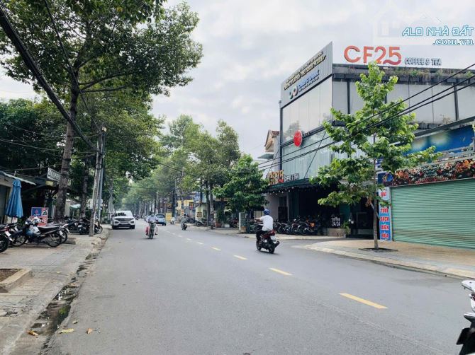 Mặt Tiền Đường TRƯƠNG ĐỊNH P.Tân Mai TP.Đồng Nai (8.8M X 35M) 275 m2 FULL THỔ CƯ - 2
