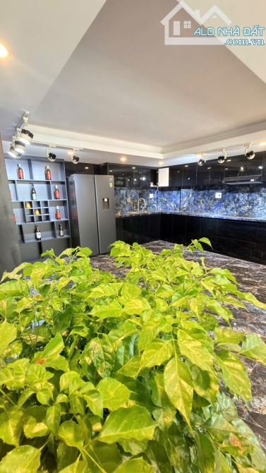 BIỆT THỰ HỒ BƠI GỐC NGÃ TƯ SÁT ÔNG ÍCH KHIÊM HẢI CHÂU 3.5 TẦNG DT 114M NGANG 8M HƠN 8TY - 12