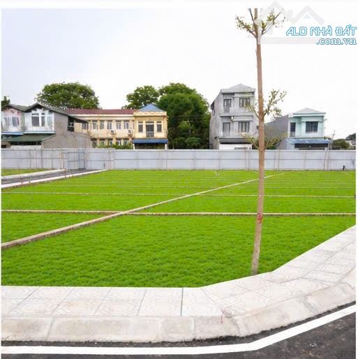 BÁN ĐẤT NỀN PHÚ CÁT, HÒA LẠC, 100M2 FULL THỔ CƯ, ÔTÔ TRÁNH MT 6.5M, GIÁ 3.25 TỶ. - 5