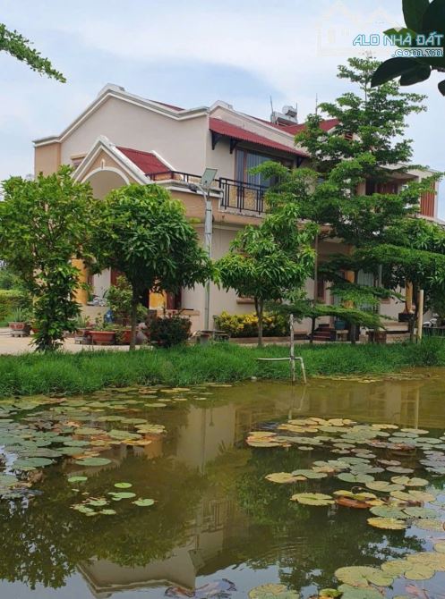Siêu phẩm!! Nhà vườn SG cây trái giá tốt 7.9 tỷ thu 300TRD - 1