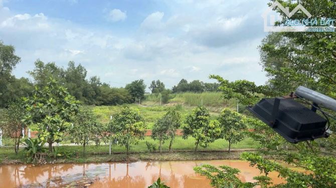 Siêu phẩm!! Nhà vườn SG cây trái giá tốt 7.9 tỷ thu 300TRD - 3