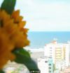 Bán căn hộ 1PN chung cư Gold Sea, view biển, sẵn nội thất, đang cho thuê ổn định.
