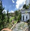 🌲🏡 NHÀ SÁT THUNG LŨNG THÔNG XANH – VIEW CỰC CHILL GIỮA TRUNG TÂM ĐÀ LẠT