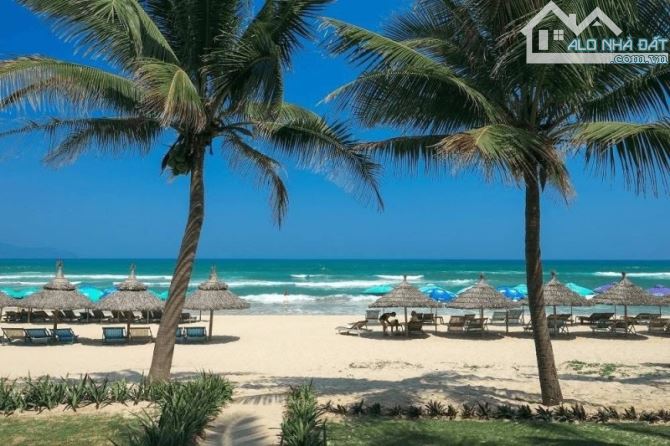 🏖️ VILLA HỒ BƠI 3 TẦNG SÁT BIỂN NON NƯỚC – DÒNG TIỀN 30 TRIỆU/THÁNG 🏖️ - 3