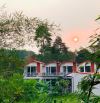Cần Bán Homestay Ngay Làng Hương Thuỷ Xuân