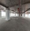 🔥 CHO THUÊ TÒA NHÀ BA CU TRUNG TÂM VŨNG TÀU – DT 700M² – GIÁ TỪ 100.000Đ/M² 🔥