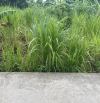 Đất đẹp giá rẻ tại tiên dược.100m2.đường thông ô tô.giá 2,8 tỷ