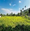 CHUYỂN NHƯỢNG 1.937m² ĐẤT ĐẸP TẠI HÒA SƠN – LƯƠNG SƠN – HÒA BÌNH