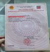 BÁN NHANH ĐẤT TẠI ĐẤT ĐỎ TĐC Lekima - Giá chỉ: 850Tr