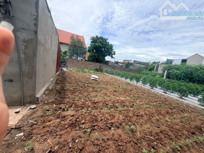 Bán đất Đông Tảo - Khoái Châu - Hưng Yên, nở hậu