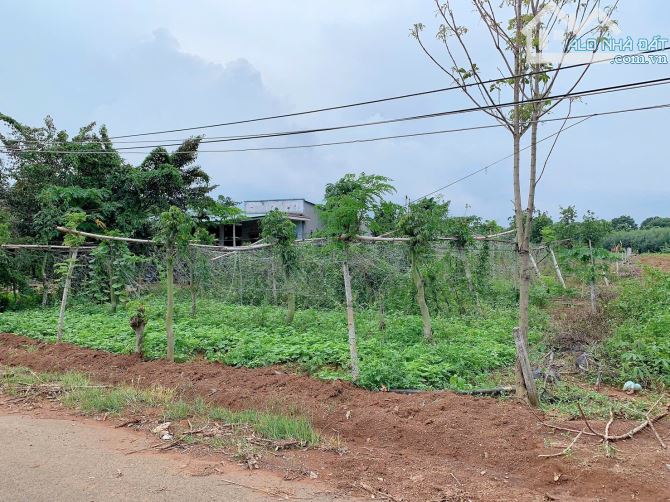 Bán khoảng 1 sào (1014m2) đất xã Láng Lớn, huyện Châu Đức, BRVT. - 1