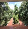 [10TRIỆU 400M2] CHO THUÊ NHÀ VƯỜN – HẺM QUA VÀNH ĐAI 10/3 BMT