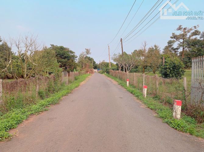 Bán khoảng 2,3 mẫu (23.241m2) đất xã Láng Lớn, huyện Châu Đức, BRVT. - 10