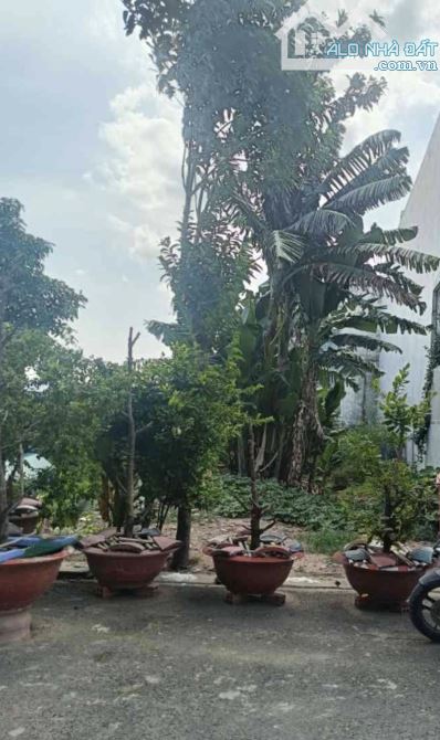 Bán Đất Đẹp Hóc Môn – 10x21m, Đường 8m, Gần Vinhomes Hóc Môn – Giá Chỉ 6,8 Tỷ Tl - 1