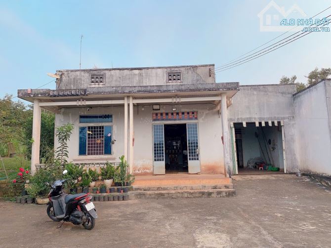 Bán khoảng 2,3 mẫu (23.241m2) đất xã Láng Lớn, huyện Châu Đức, BRVT. - 9