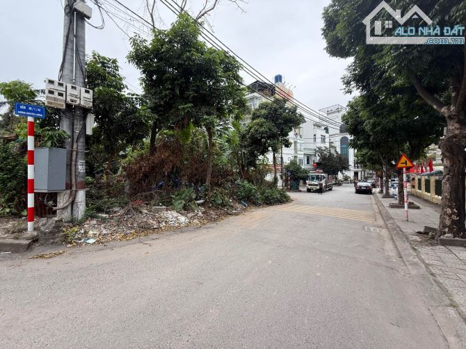 bán nhà phân lô, bẩy tầng thang máy nhập khẩu lô góc 160 m 46 tỷ