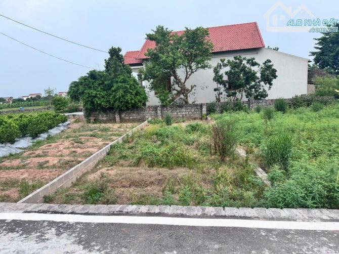 Bán 63m đất bãi sậy hưng yên ô tô vào đất chỉ 1 tỷ 480tr - 1
