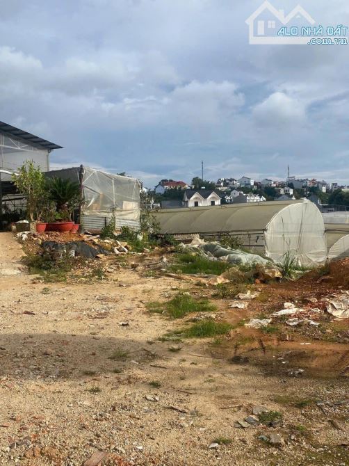 CHỦ THỞ OXY - CHỐT 7.8 TỶ - 300M² ĐÔNG TĨNH LÝ NAM ĐẾ P8 ĐÀ LẠT - NGANG 16M CHIA ĐƯỢC 4 LÔ - 2