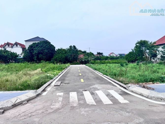 Bán 63m đất bãi sậy hưng yên ô tô vào đất chỉ 1 tỷ 480tr - 2